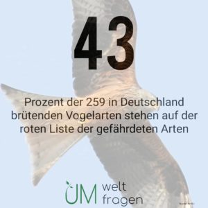 Vogelschutz in Deutschland