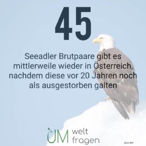 Seeadler Österreich Artenschutz